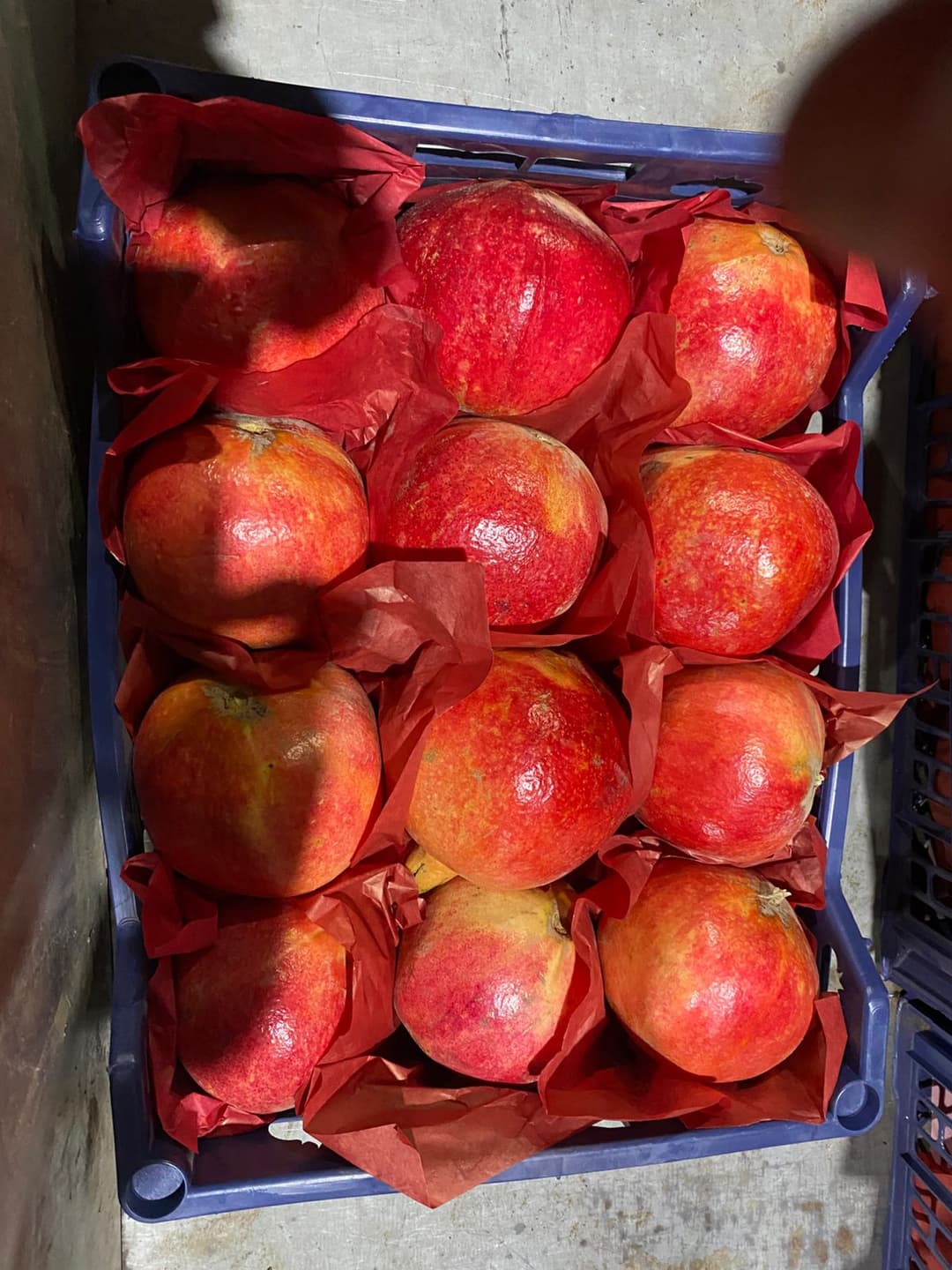 Red Juicy Pomegranates